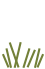 Pelouses