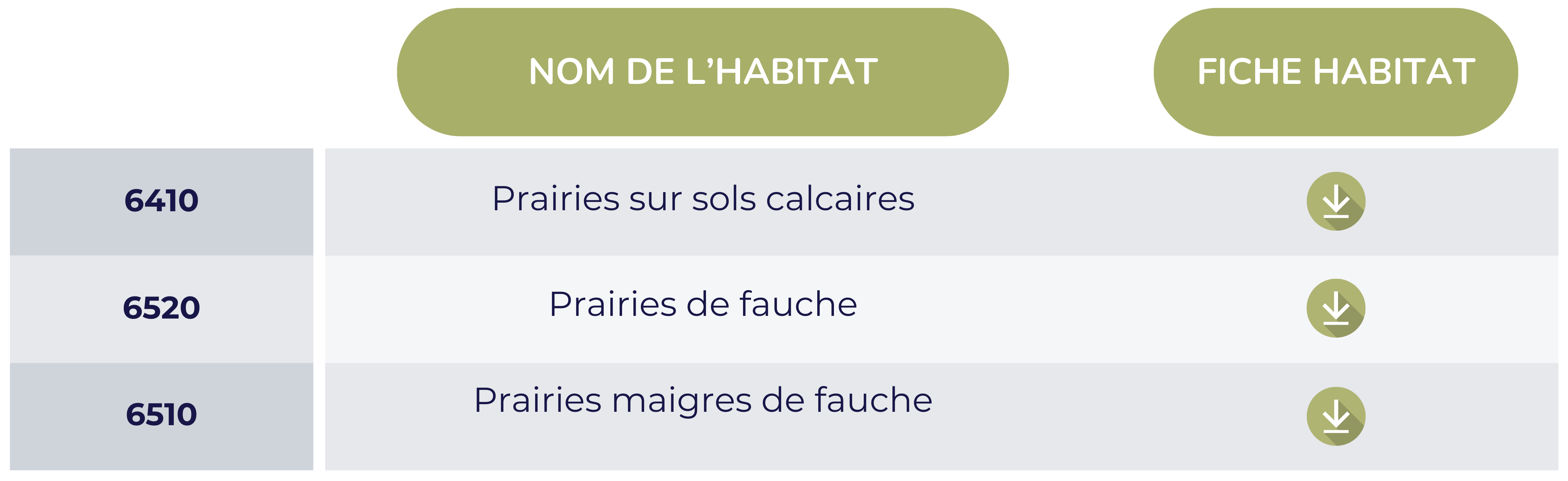 Prairies
